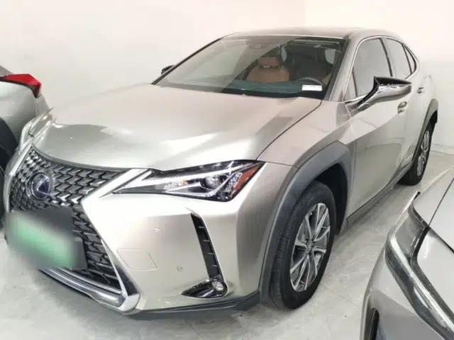 Lexus UX New Energy 2020 300e Pure·Joy Edition