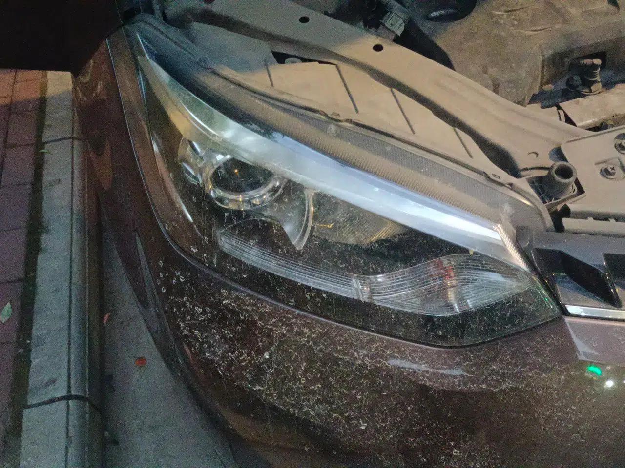 MG GS 2016 1.5TGI TST Luxury Edition — миниатюра 7