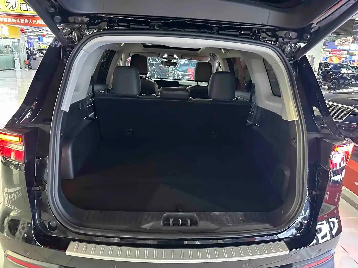 Lingyu 2021 EcoBoost 225 Platinum Edition 5-seater — миниатюра 4