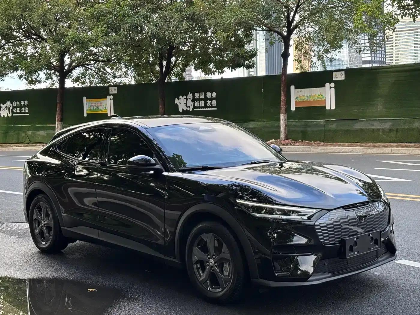 2021 Ford eCar Rear-Wheel Drive (Standard Range) — миниатюра 26