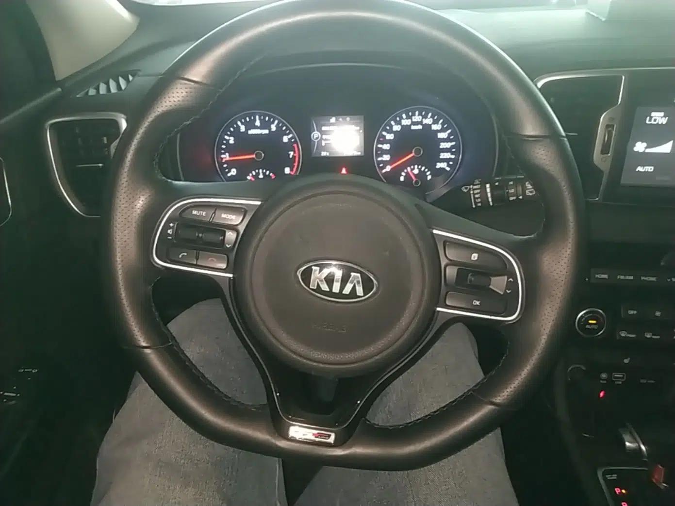Kia KX5 2016 1.6T Automatic Two-Wheel Drive DLX — миниатюра 14