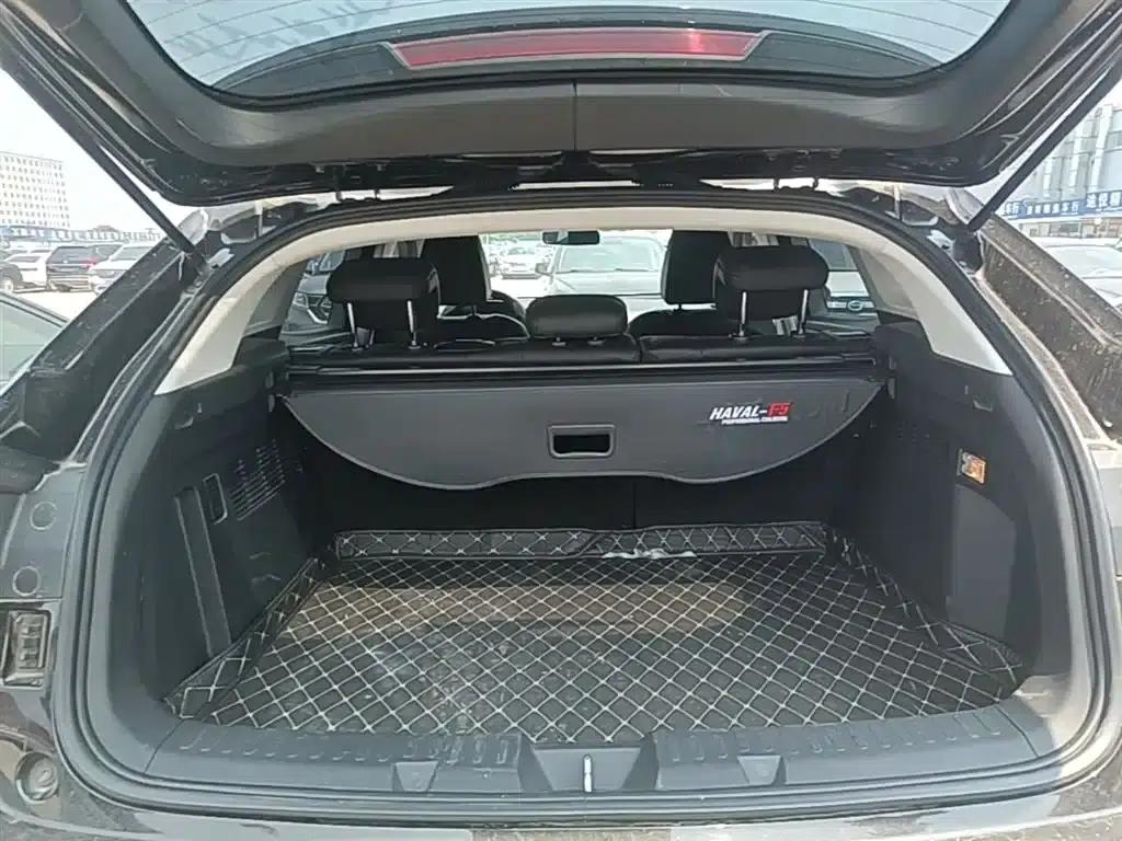 Haval F5 2019 National Trend Edition 1.5T iCool National VI — миниатюра 19