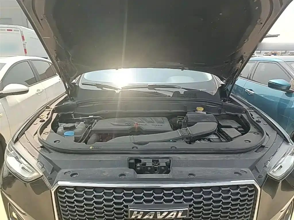 Haval F5 2019 National Trend Edition 1.5T iCool National VI — миниатюра 20