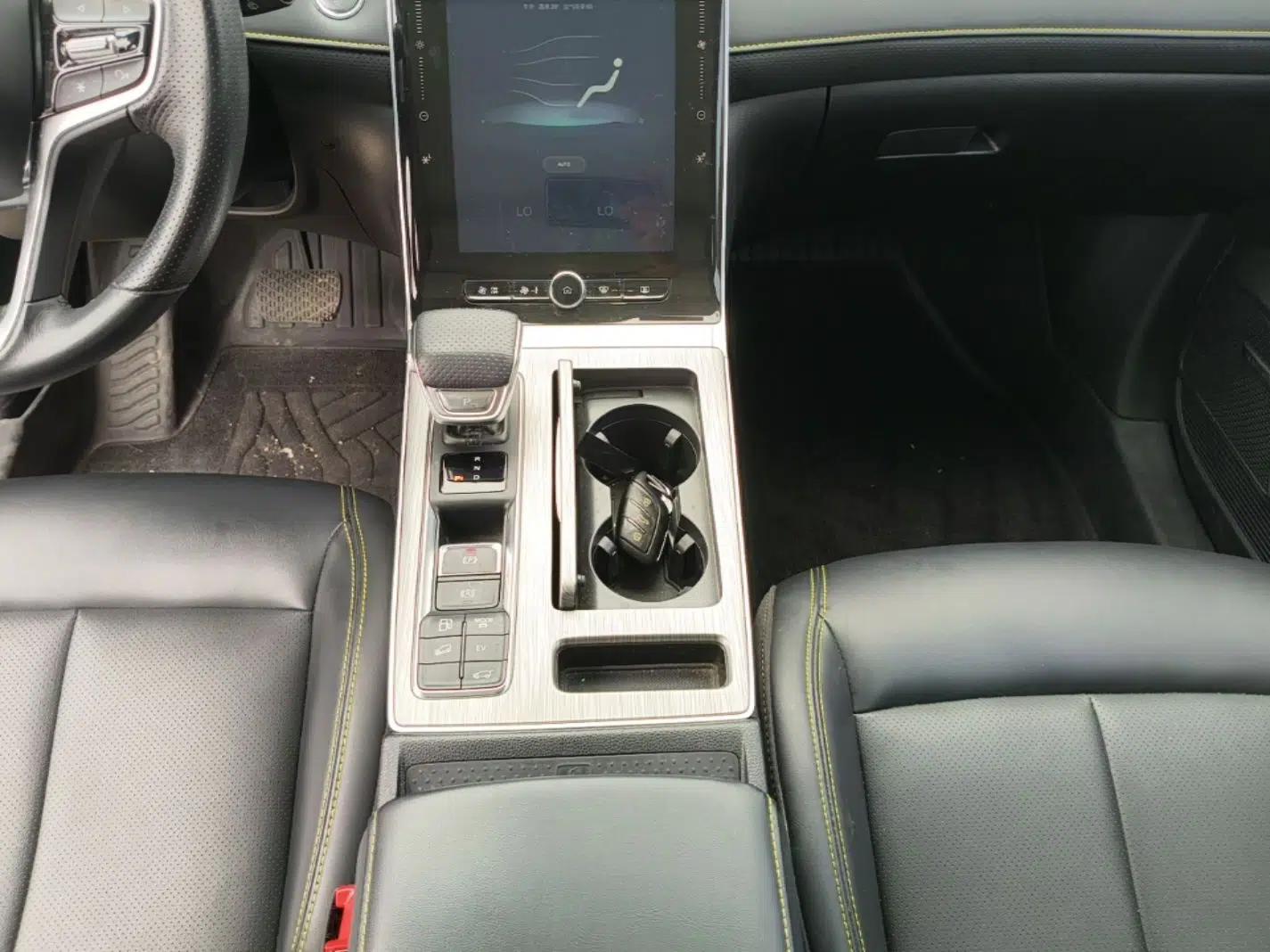 Roewe RX5 New Energy 2020 ePLUS National Trend Ronglin Luxury Edition — миниатюра 17
