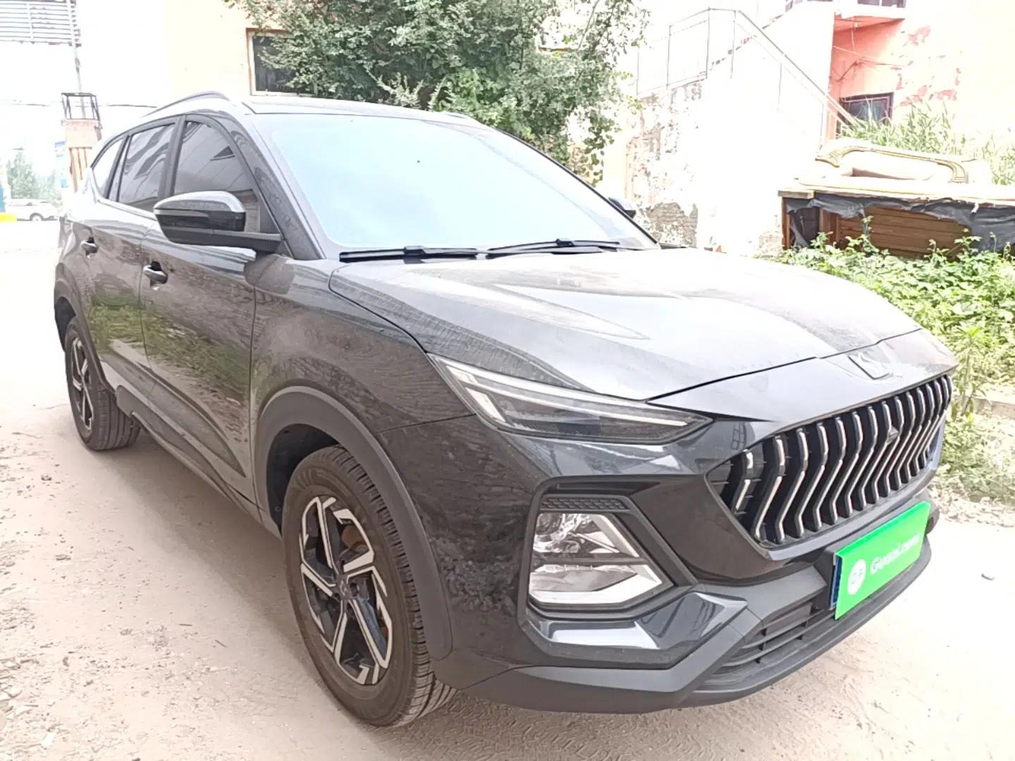 SOL X8 2021 300T DCT Panoramic Luxury Edition 5 Seats — миниатюра 3