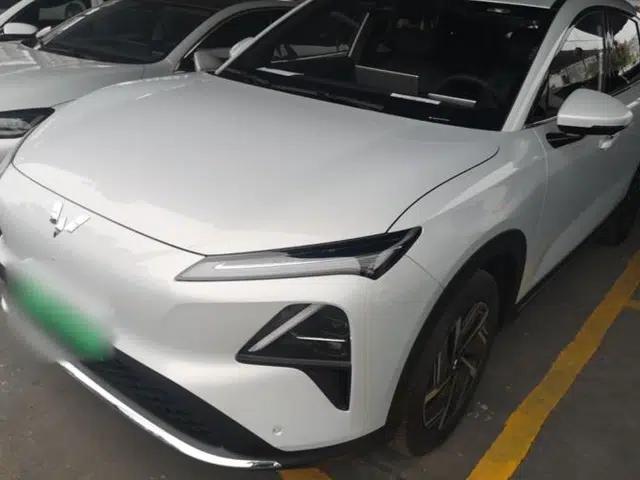 Wuling Xingguang S 2024 510 km Flagship Version