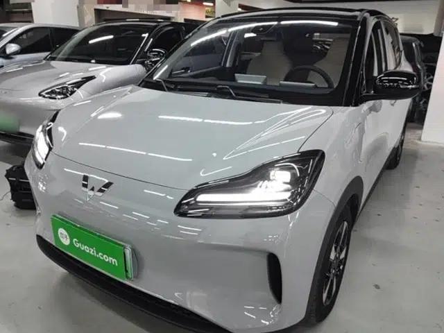Wuling Bingo PLUS 2024 330 km Range Five-Seater Version