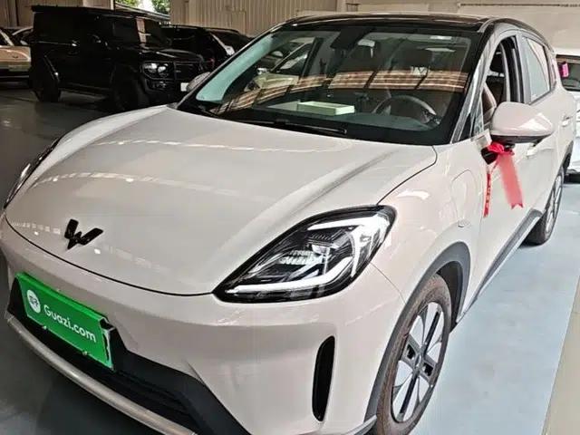 Wuling Bingo S 2025 Model 325km Deluxe Edition