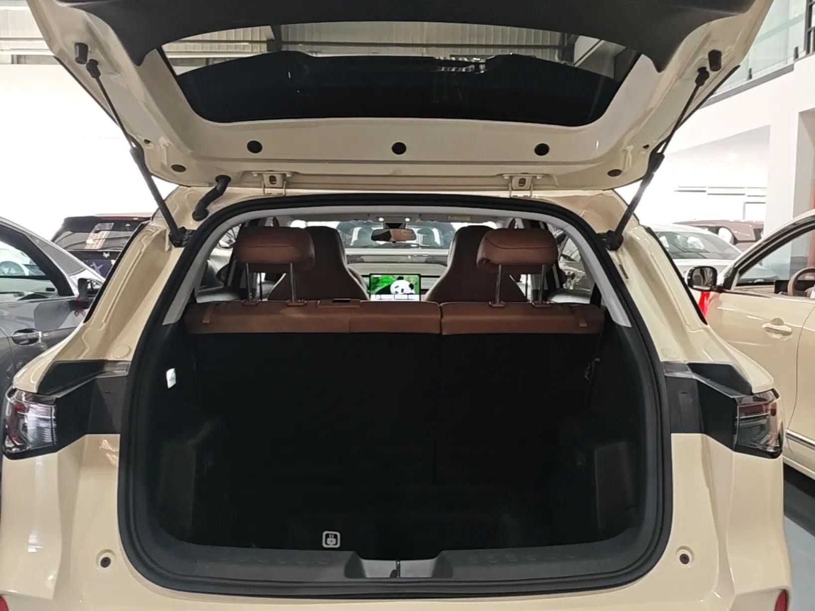 Wuling Bingo S 2025 Model 325km Deluxe Edition — миниатюра 22
