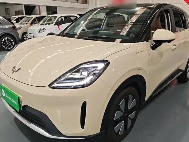 Wuling Bingo S 2025 Model 325km Deluxe Edition