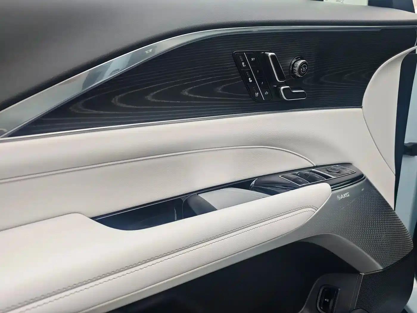 iQ Ruige 2024 Rear-Wheel Drive Standard Range Luxury Edition — миниатюра 11