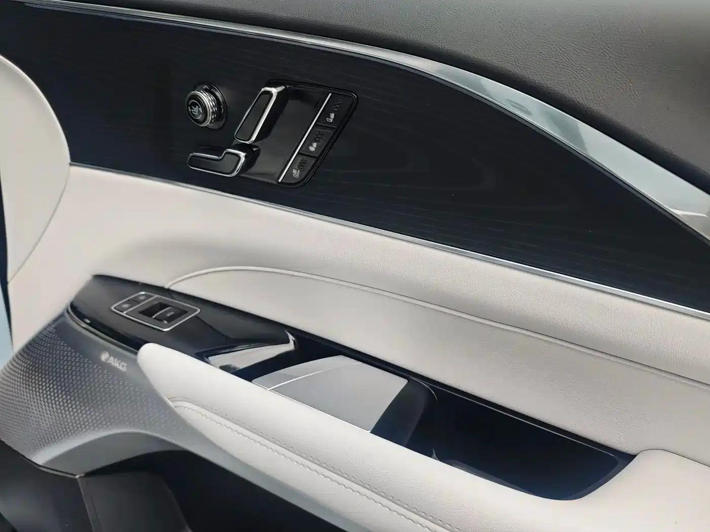 iQ Ruige 2024 Rear-Wheel Drive Standard Range Luxury Edition — миниатюра 30