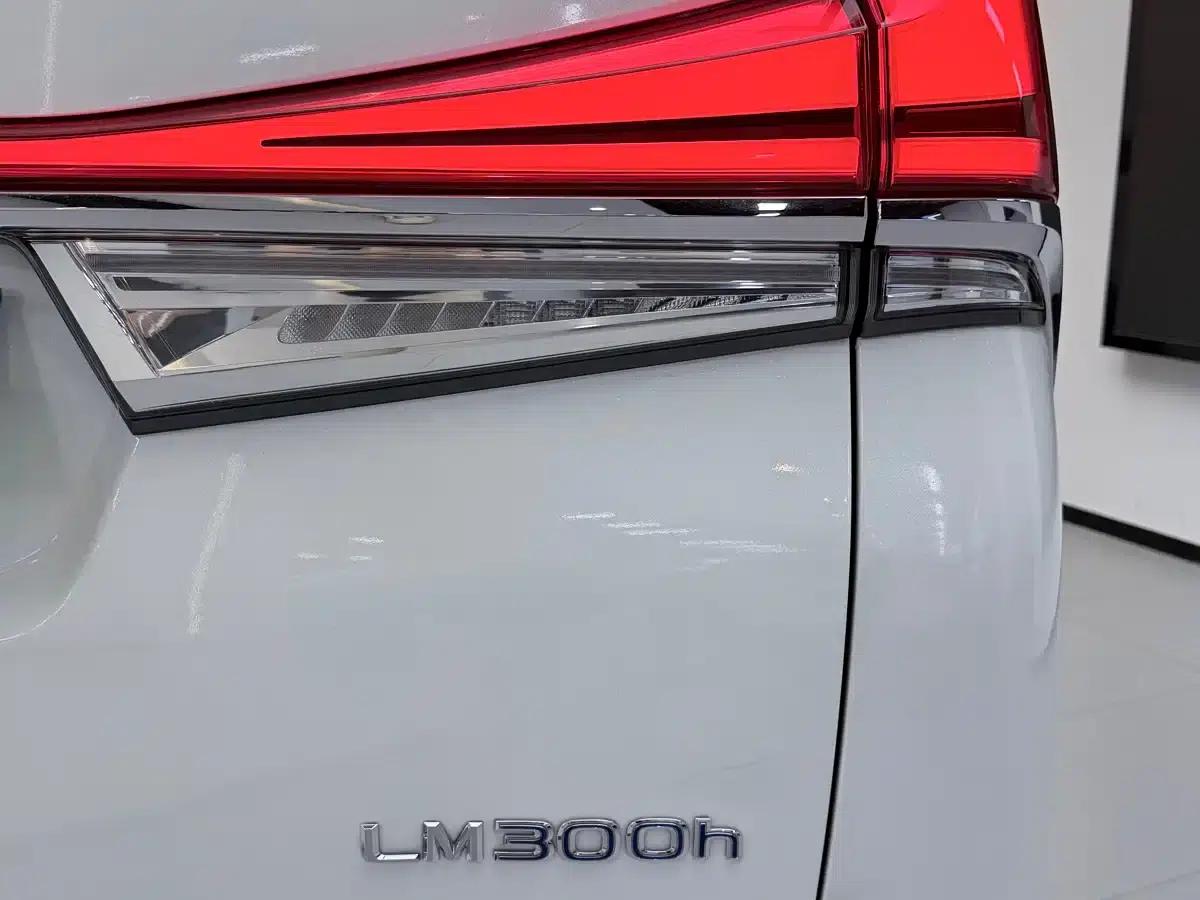 Lexus LM 2020 300h Four-Seat Executive Edition — миниатюра 8