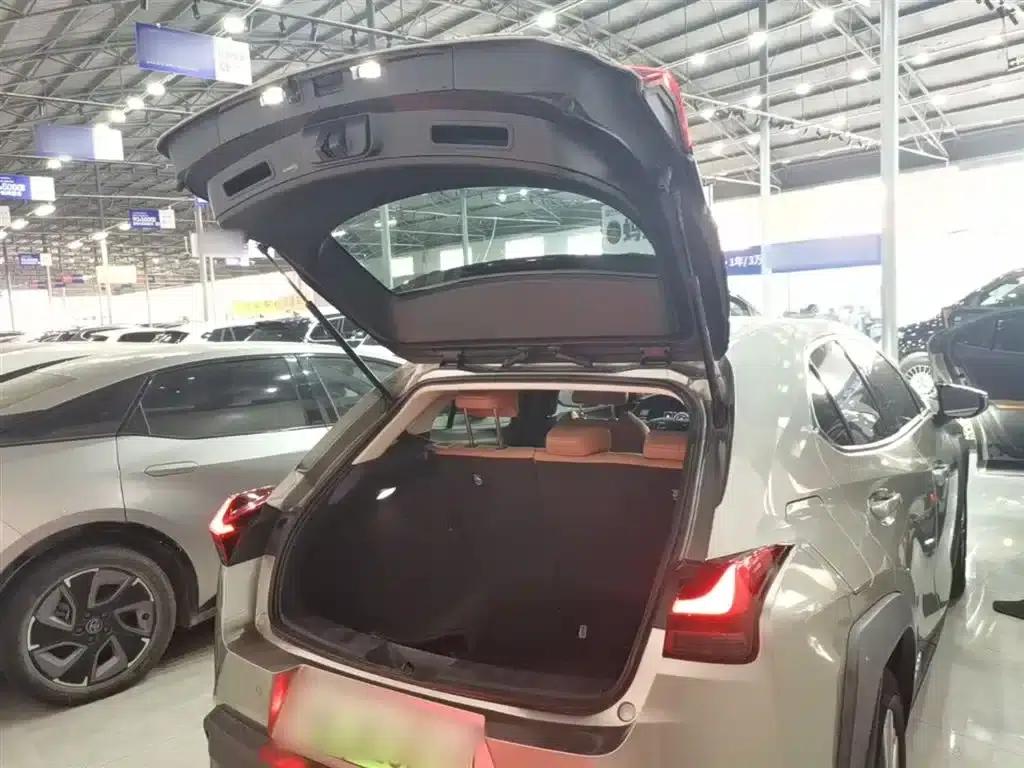 Lexus UX PHEV 2020 300e Pure Enjoyment Edition — миниатюра 19