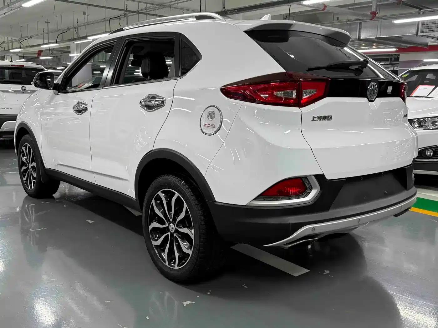 2015 GS 2.0TGI TST 4WD Flagship Edition — миниатюра 7