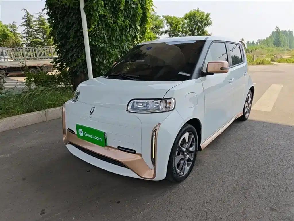 ORA White Cat 2022 Little Wildcat Edition 360km Luxury Triple Lithium Lithium — миниатюра 1