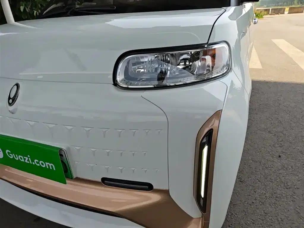 ORA White Cat 2022 Little Wildcat Edition 360km Luxury Triple Lithium Lithium — миниатюра 24