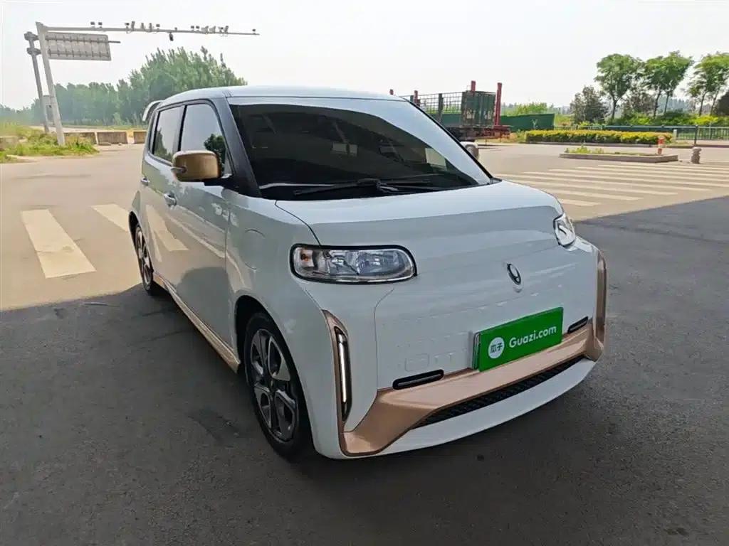 ORA White Cat 2022 Little Wildcat Edition 360km Luxury Triple Lithium Lithium — миниатюра 4