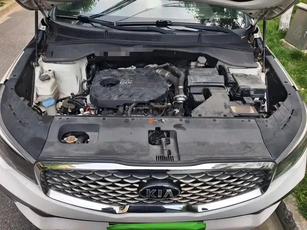 Kia KX7 2017 2.0T Automatic 2WD GLS 7-Seater — миниатюра 11