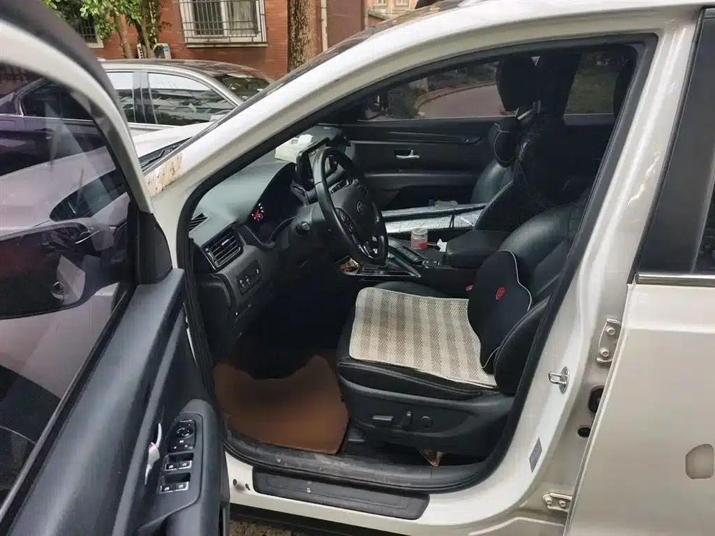 Kia KX7 2017 2.0T Automatic 2WD GLS 7-Seater — миниатюра 14