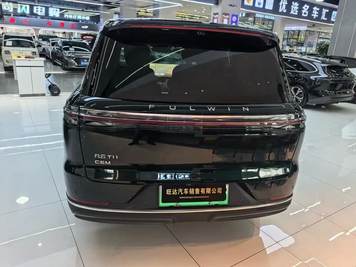 Fengyun T11 2026 Model 220 Rear-Wheel Drive Dual IMAX Cinema Edition — миниатюра 16