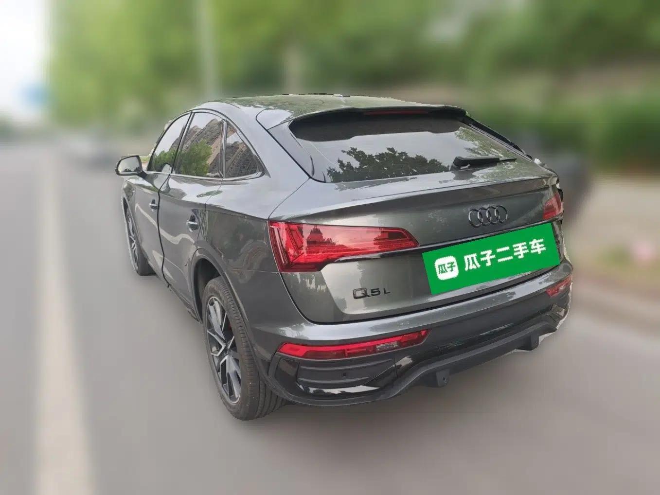 Audi Q5L Sportback 2024 45 TFSI Luxury Edition — миниатюра 4