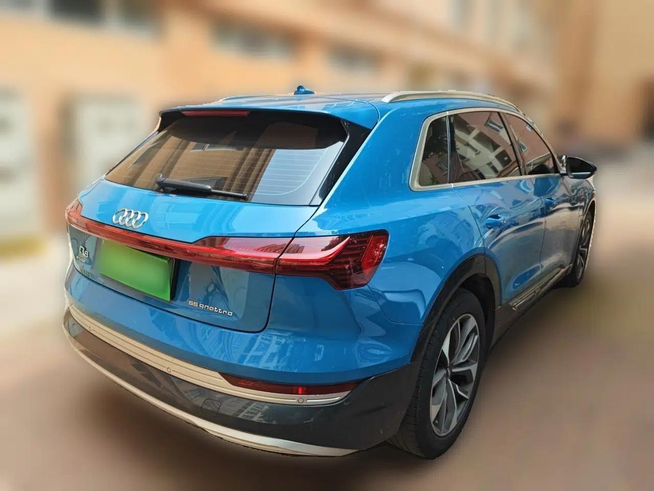 Audi e-tron 2019 55 quattro Global Limited Edition Edition 1 — миниатюра 6