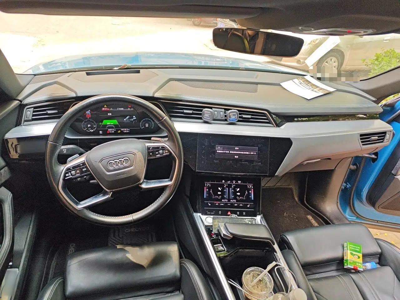 Audi e-tron 2019 55 quattro Global Limited Edition Edition 1 — миниатюра 10