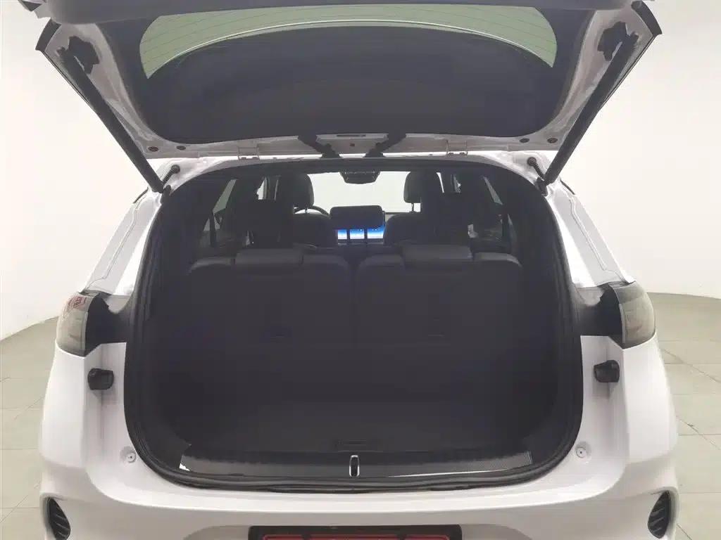 Denza X 2020 PHEV Classic Edition — миниатюра 16