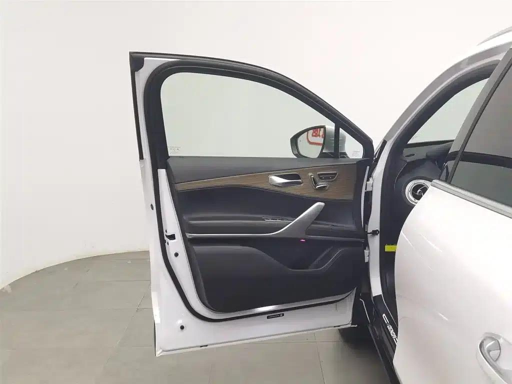 Denza X 2020 PHEV Classic Edition — миниатюра 8