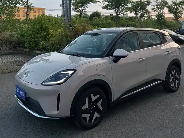 Bingo S 2025 Flagship Model 430km