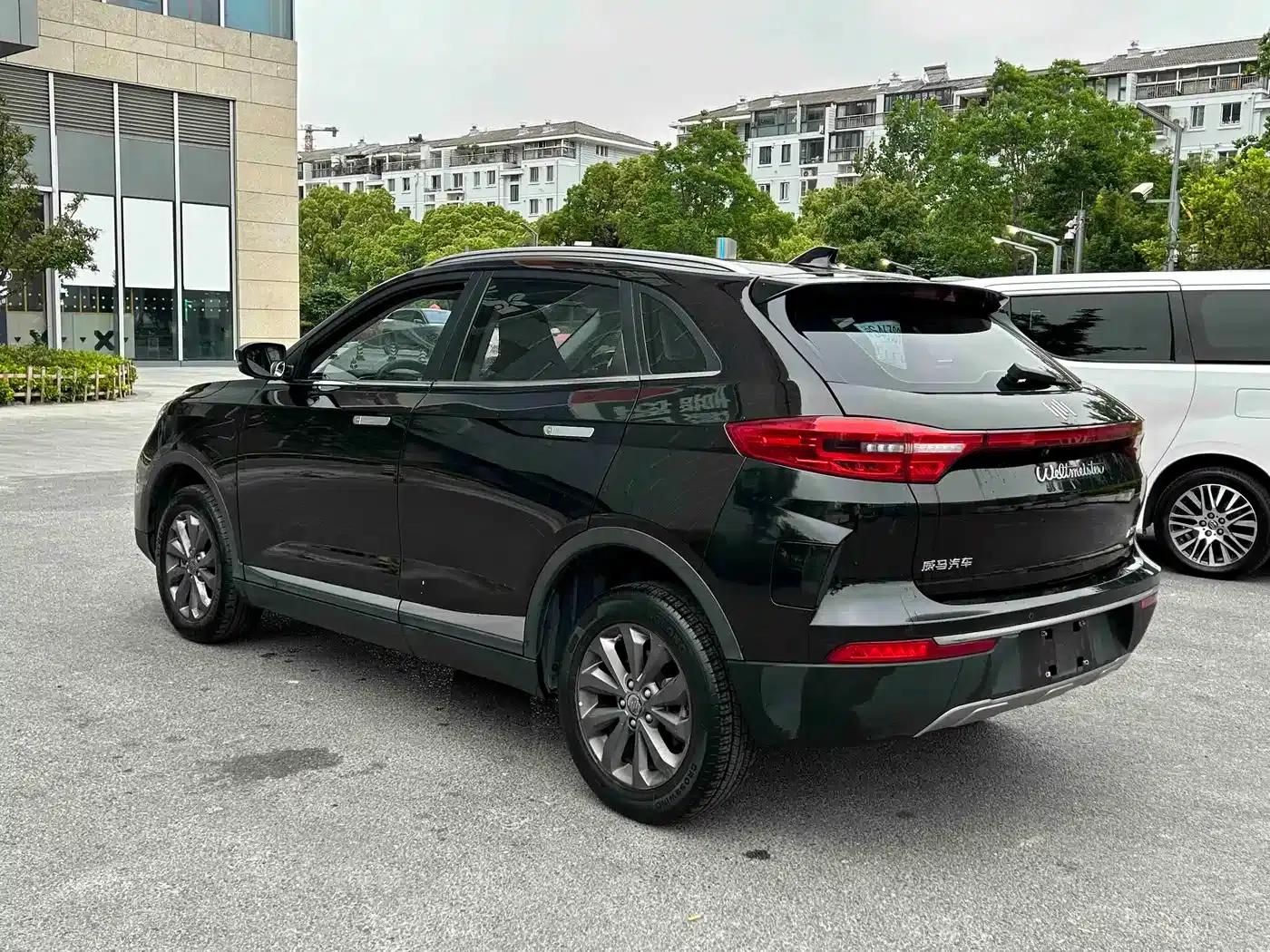 Weltmeister EX5 2019 EX5 Mate Weltmeister Edition 400 — миниатюра 9