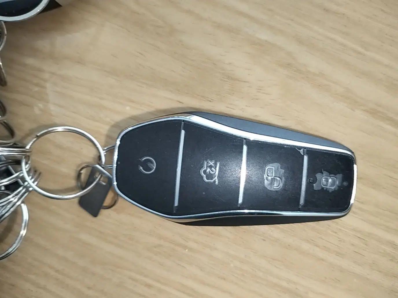 BYD Xia 2025 DM-i 1.5T 180km Excellence Model — миниатюра 12