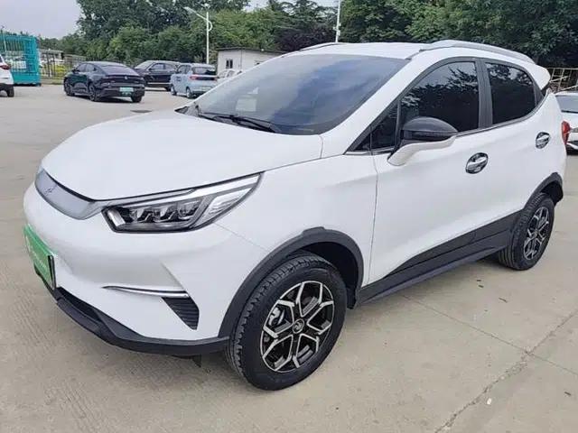 BYD Yuan Pro 2023 401KM Luxury Version