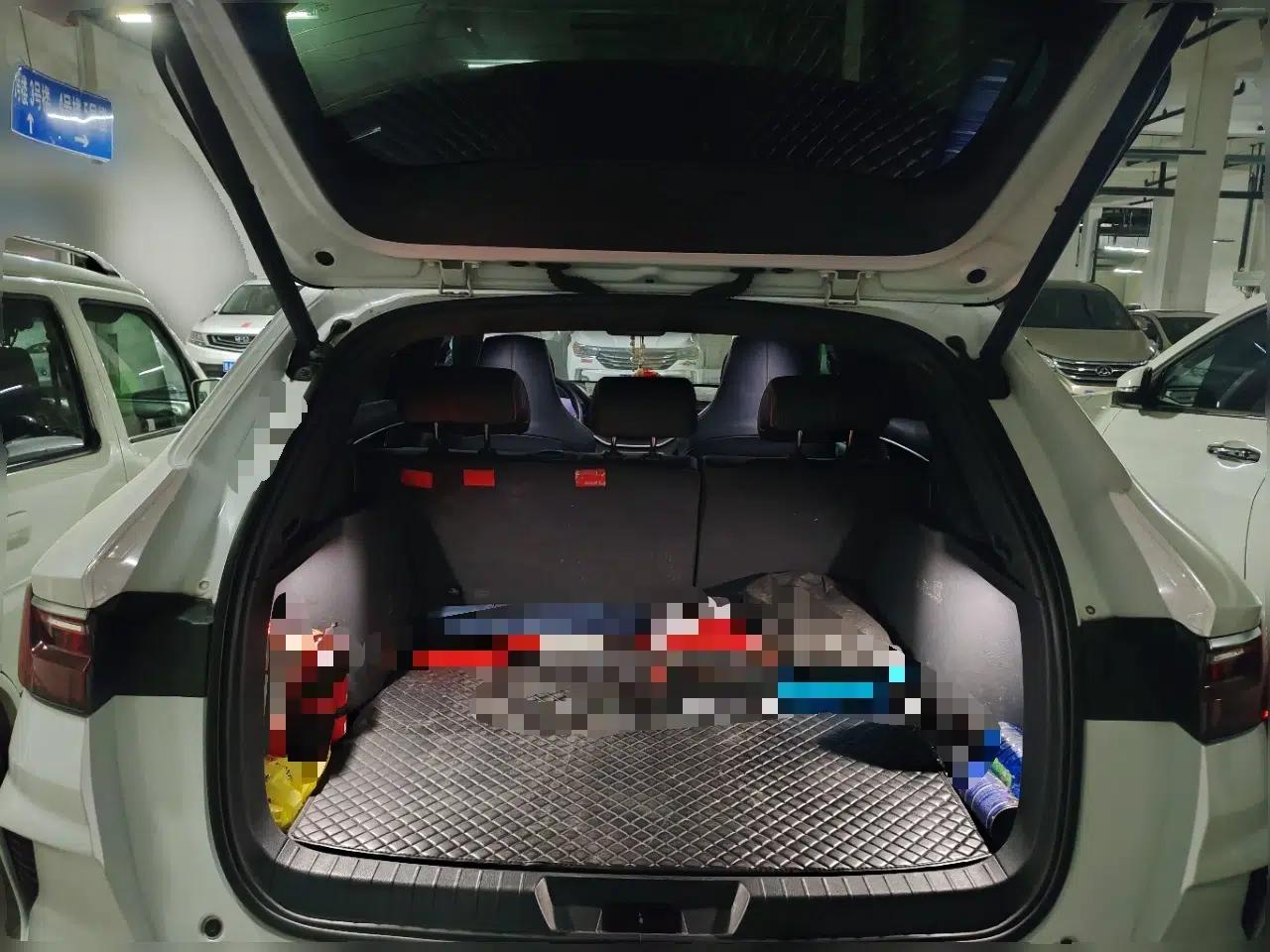 BYD Song PLUS 2020 1.5T Automatic Flagship Edition — миниатюра 16
