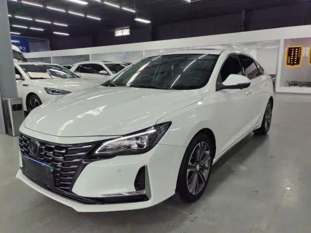 CHANGAN Ruicheng CC 2022 Blue Whale Edition 1.5T DCT Luxury Model