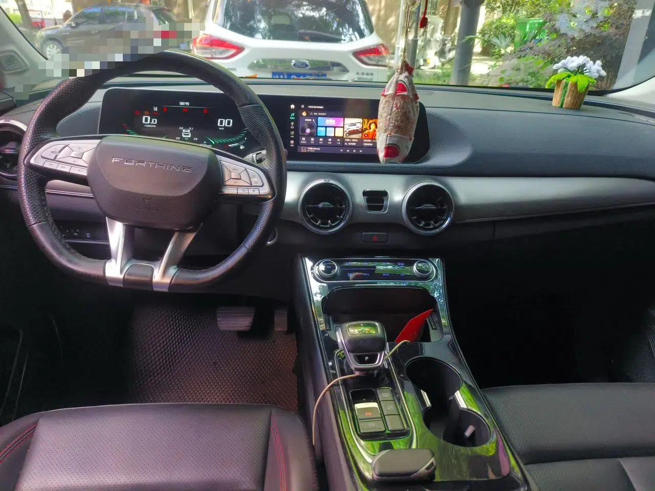 FORTHING T5 EVO 2021 1.5TD DCT Diamond Edition — миниатюра 10