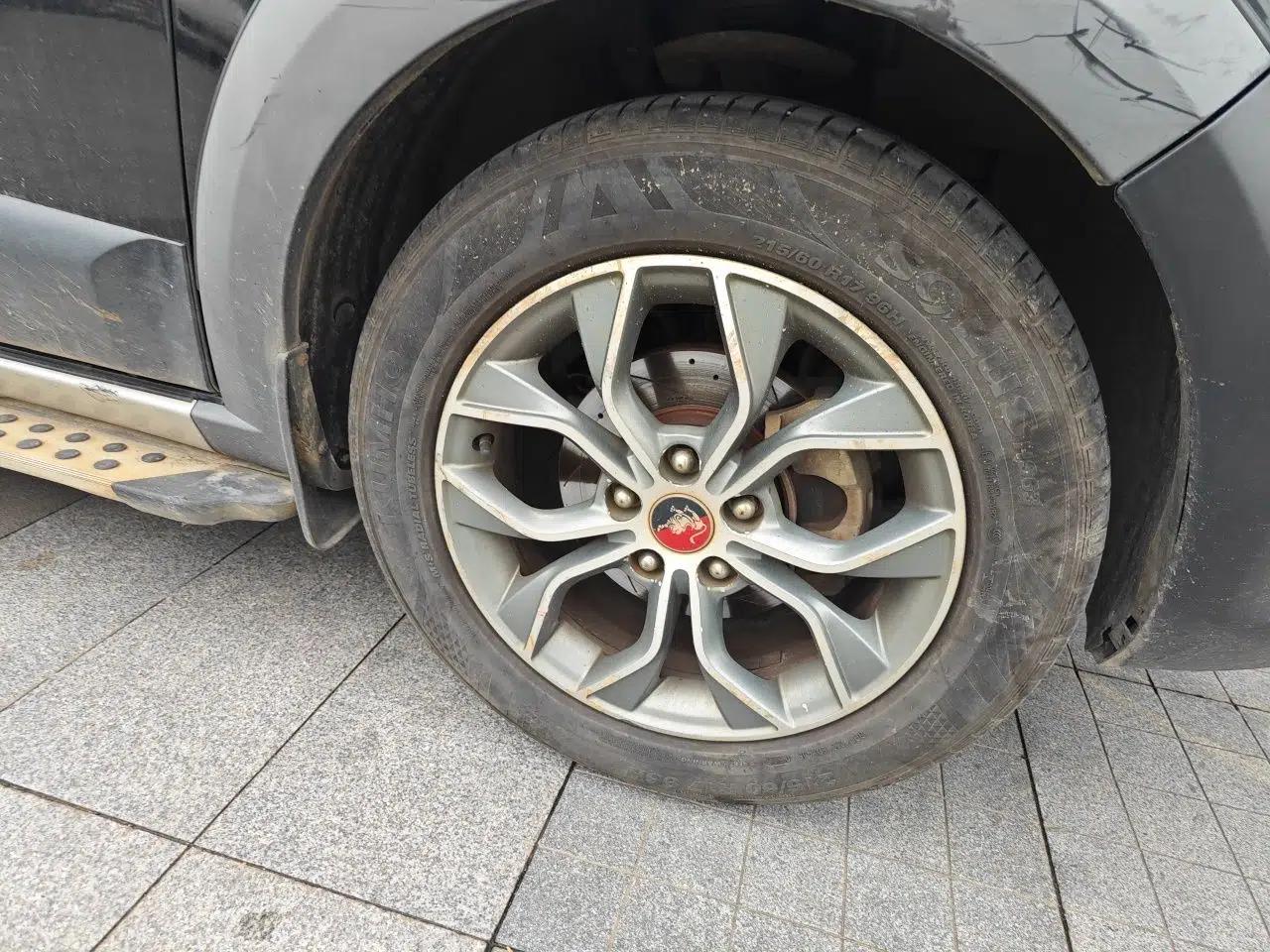 FORTHING Joyear X5 2016 1.6L Manual Luxury Model — миниатюра 8