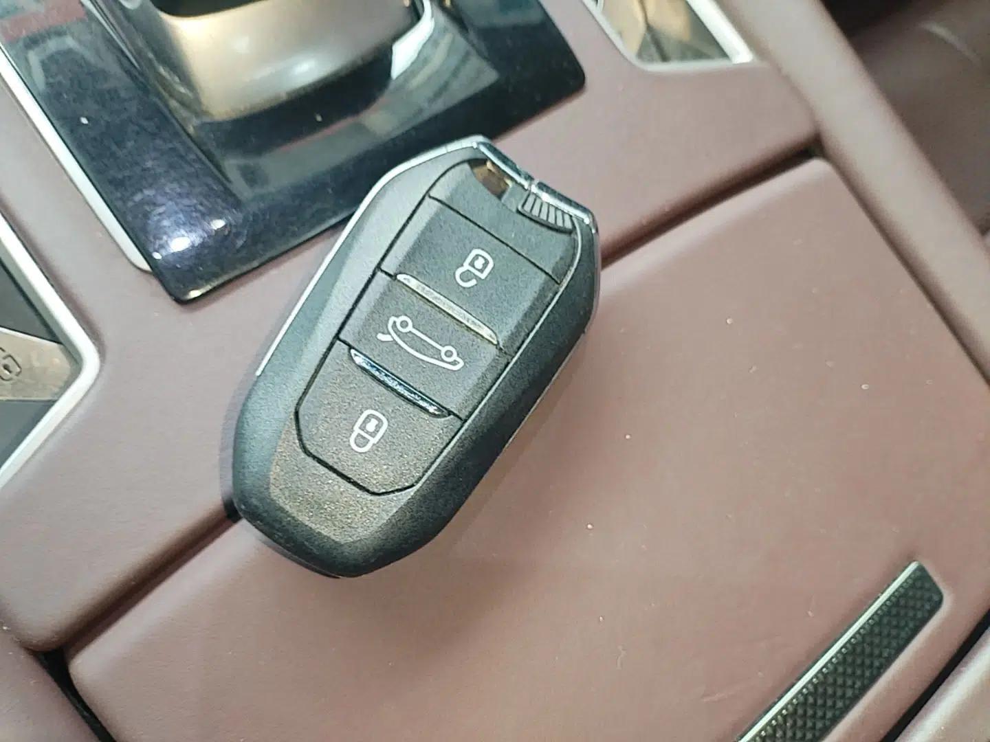 DS 9 New Energy 2021 1.6T E-TENSE Opera Plug-in Hybrid Edition — миниатюра 12
