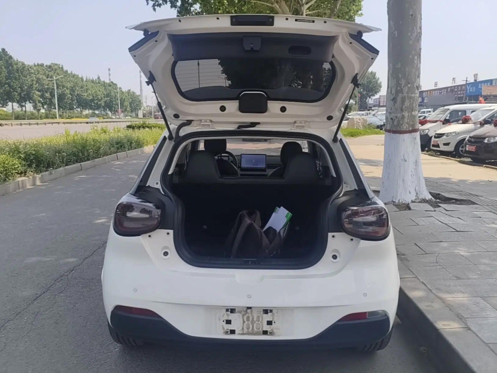 Dongfeng NAMMI 01 2024 New Edition 330 Plus Smart+ — миниатюра 22