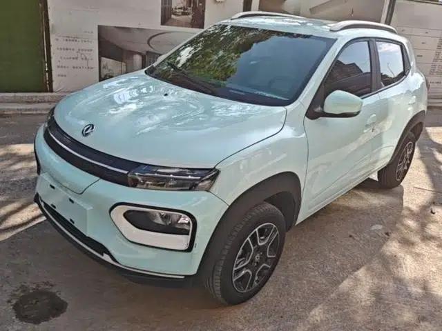 Dongfeng NAMMI BOX 2022 Light Wind Edition 201KM Standard Model