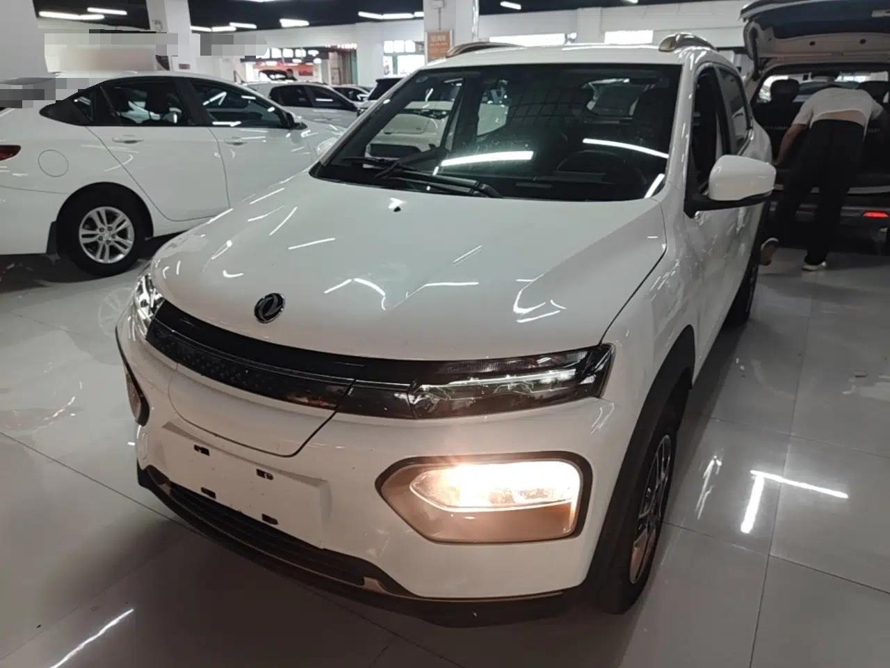 Dongfeng NAMMI BOX 2022 Champion Edition Light Wind Version 201KM Standard Model — миниатюра 1