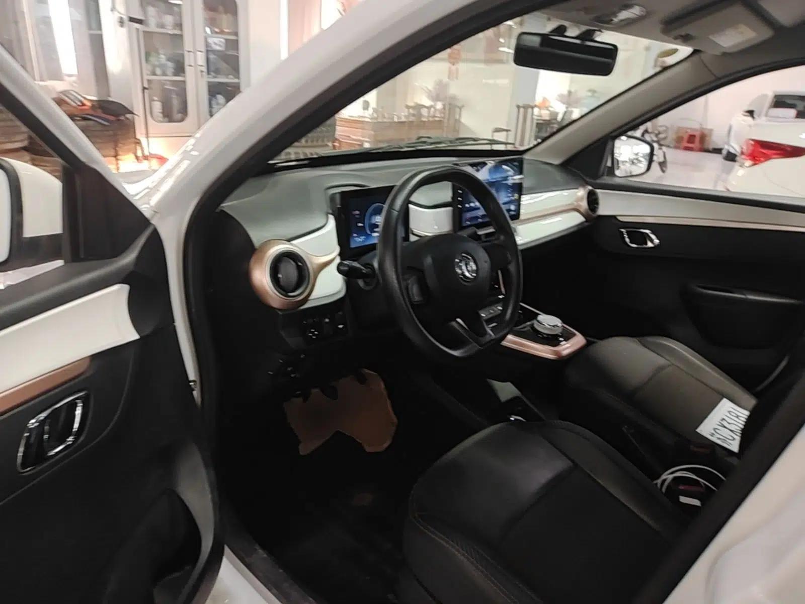 Dongfeng NAMMI BOX 2022 Champion Edition Light Wind Version 201KM Standard Model — миниатюра 17