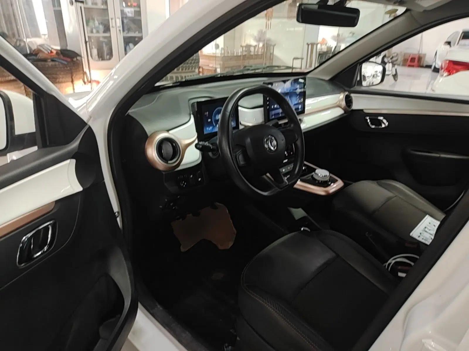 Dongfeng NAMMI BOX 2022 Champion Edition Light Wind Version 201KM Standard Model — миниатюра 18