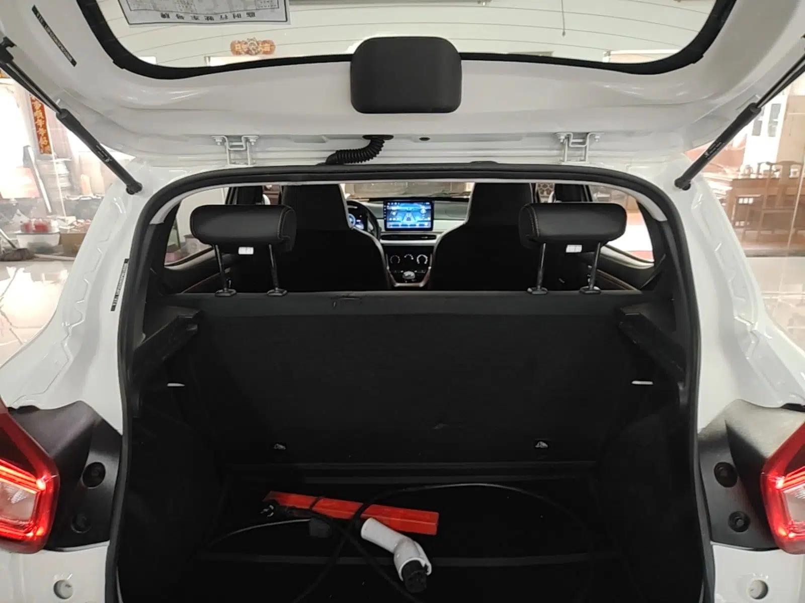 Dongfeng NAMMI BOX 2022 Champion Edition Light Wind Version 201KM Standard Model — миниатюра 21