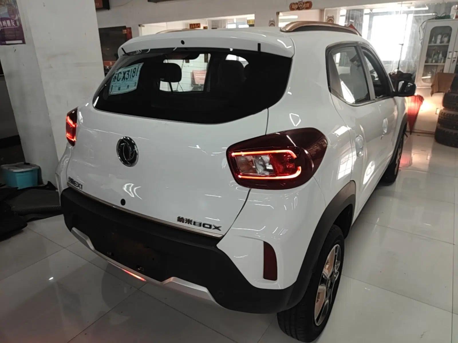 Dongfeng NAMMI BOX 2022 Champion Edition Light Wind Version 201KM Standard Model — миниатюра 4