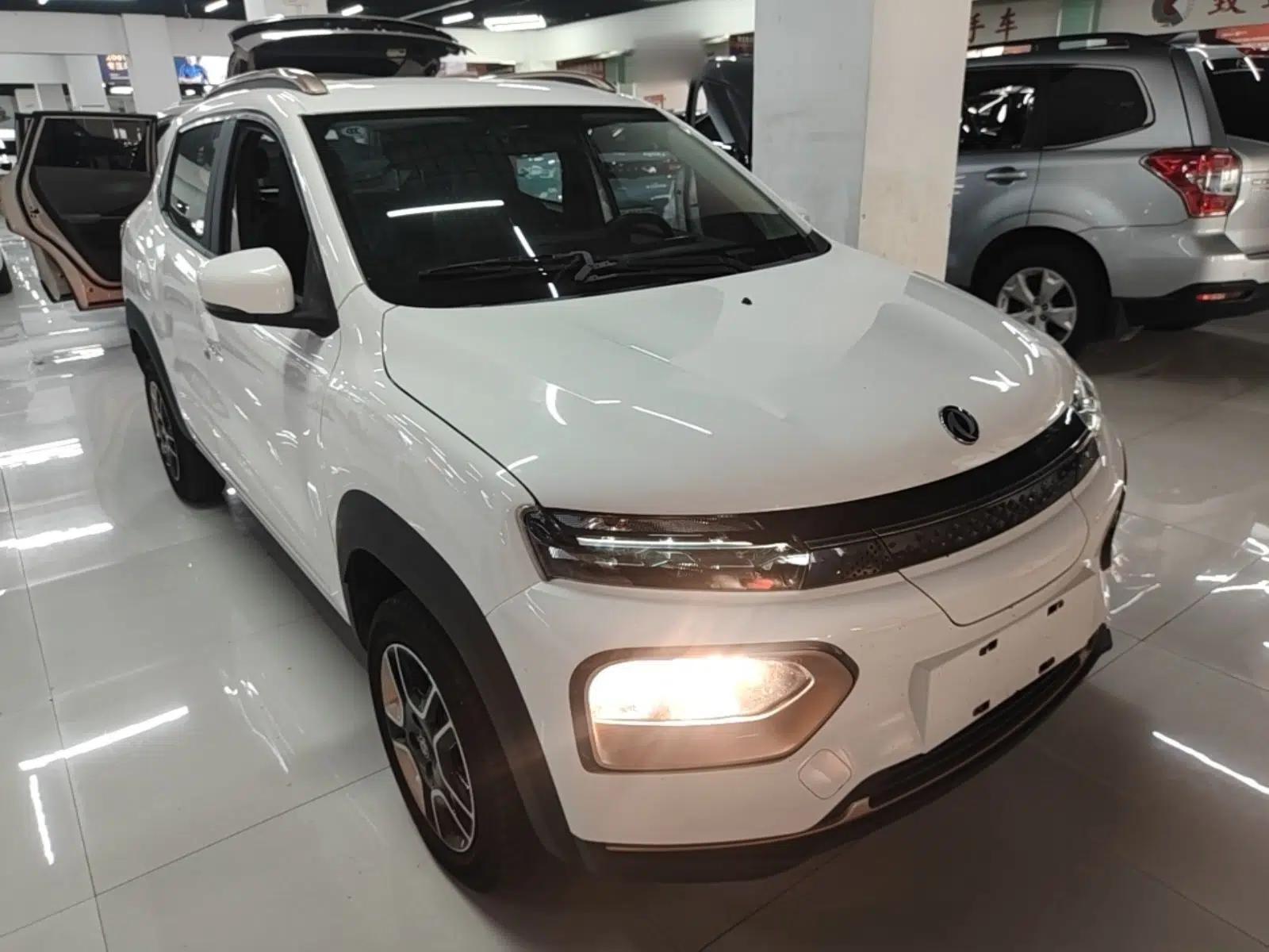 Dongfeng NAMMI BOX 2022 Champion Edition Light Wind Version 201KM Standard Model — миниатюра 6