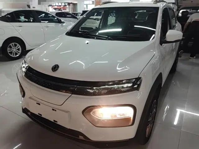 Dongfeng NAMMI BOX 2022 Champion Edition Light Wind Version 201KM Standard Model