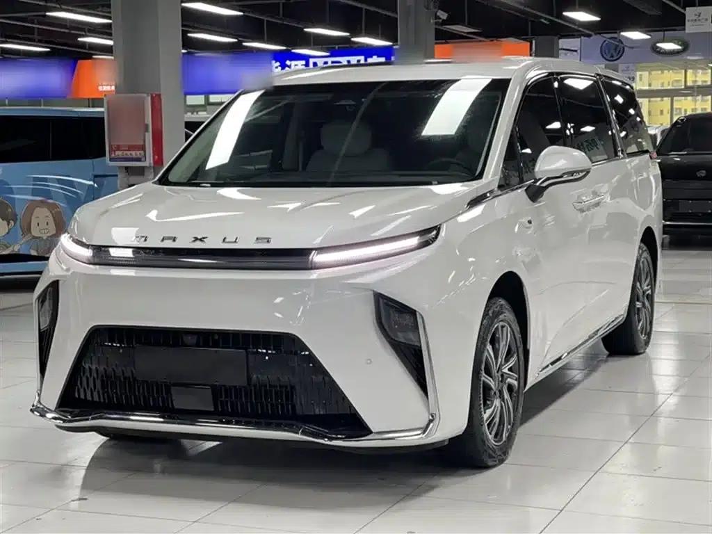 Everyone 9 2024 Facelift Super Hybrid Long Range Forest Edition 7-Seat — миниатюра 2