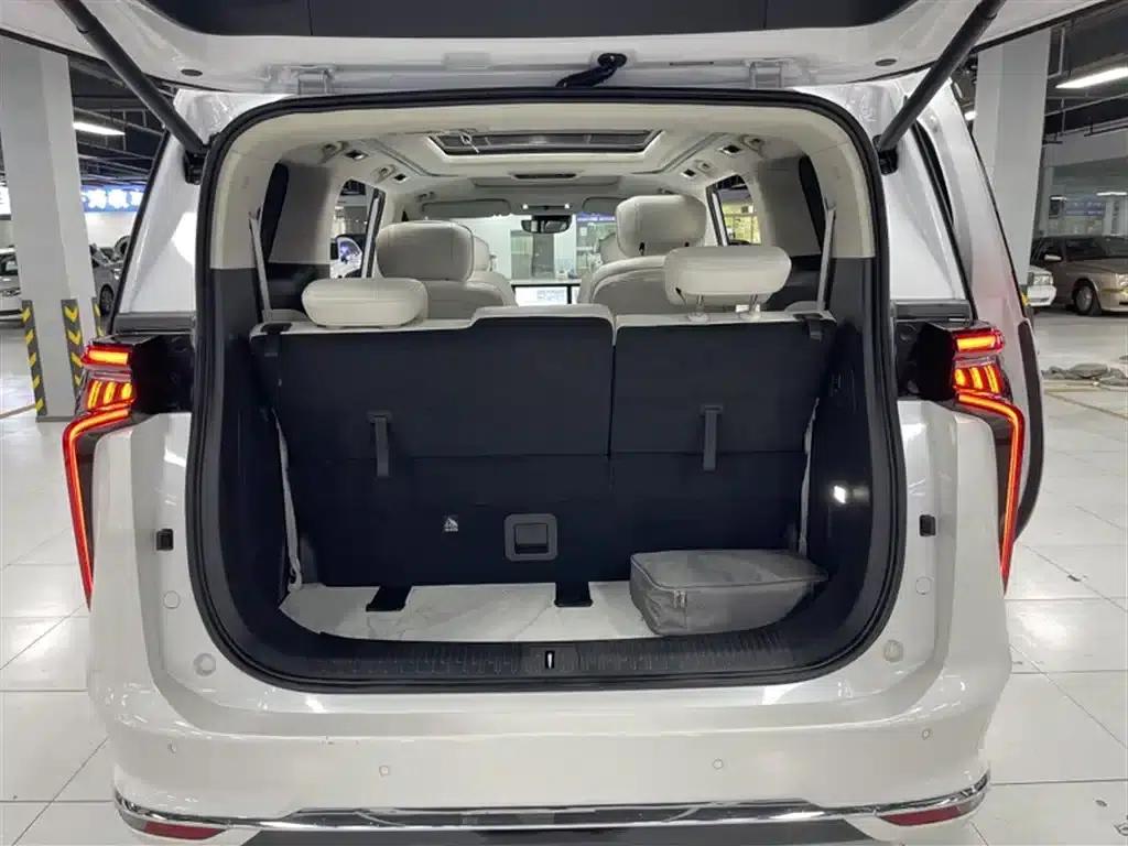 Everyone 9 2024 Facelift Super Hybrid Long Range Forest Edition 7-Seat — миниатюра 12